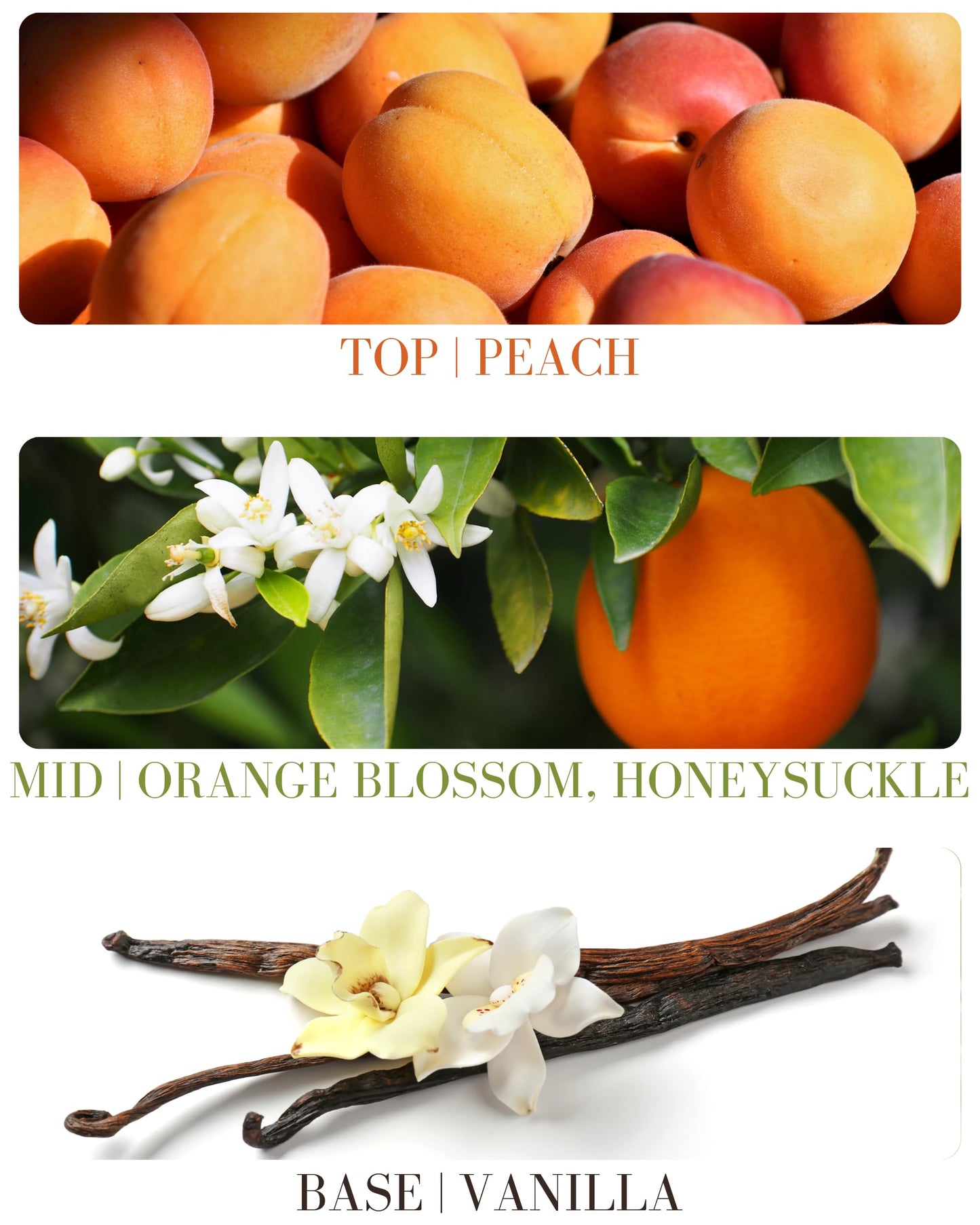 Hair & Body Mists