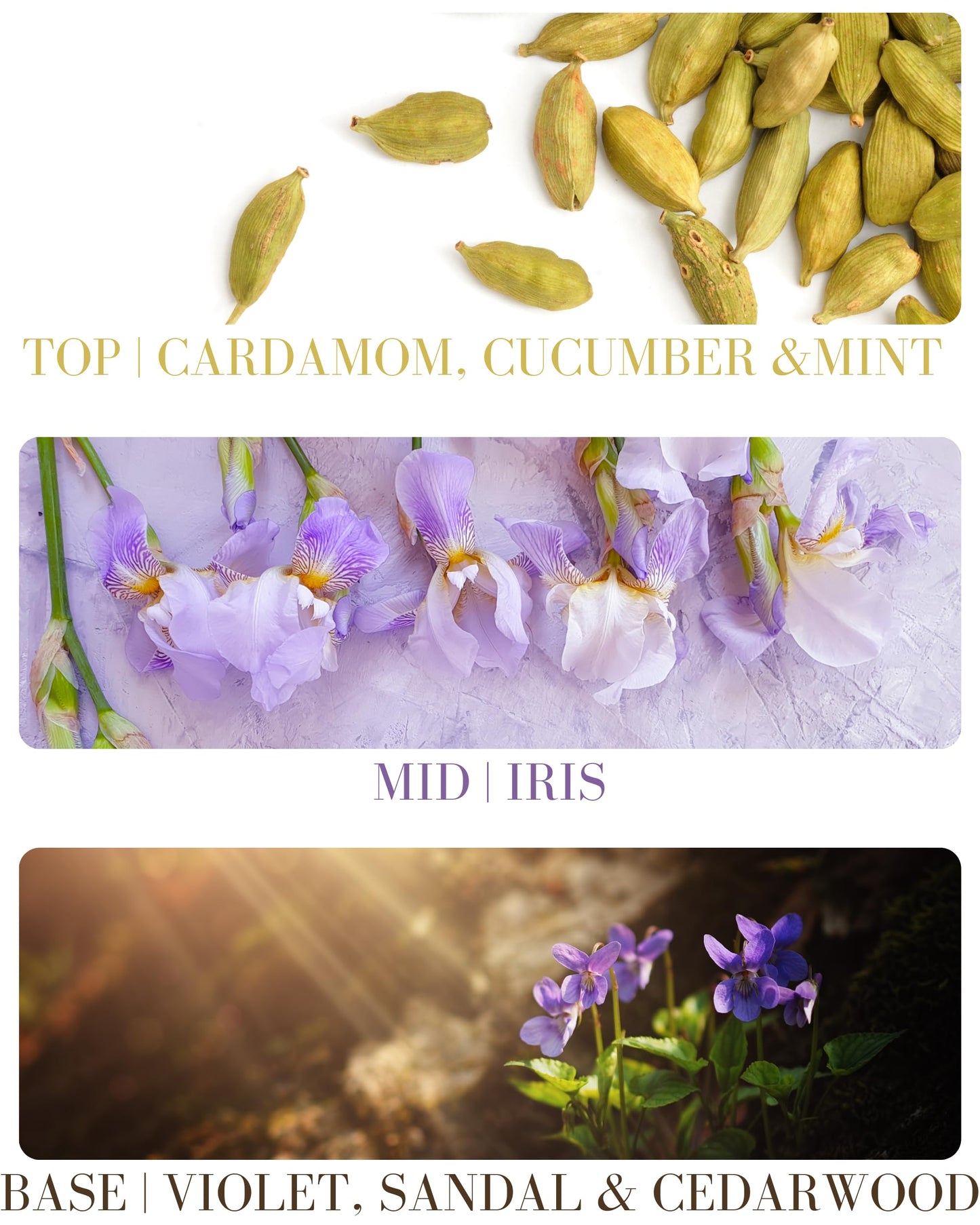 Hair & Body Mists