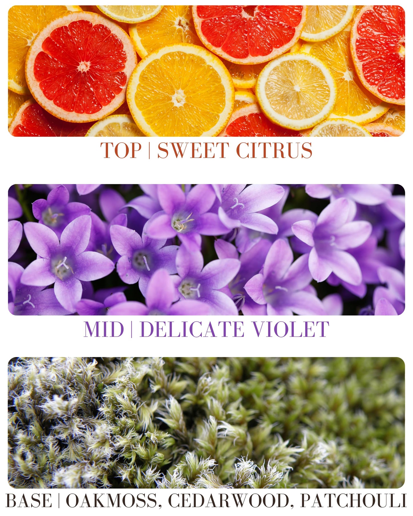 Roll-on Perfume Oils