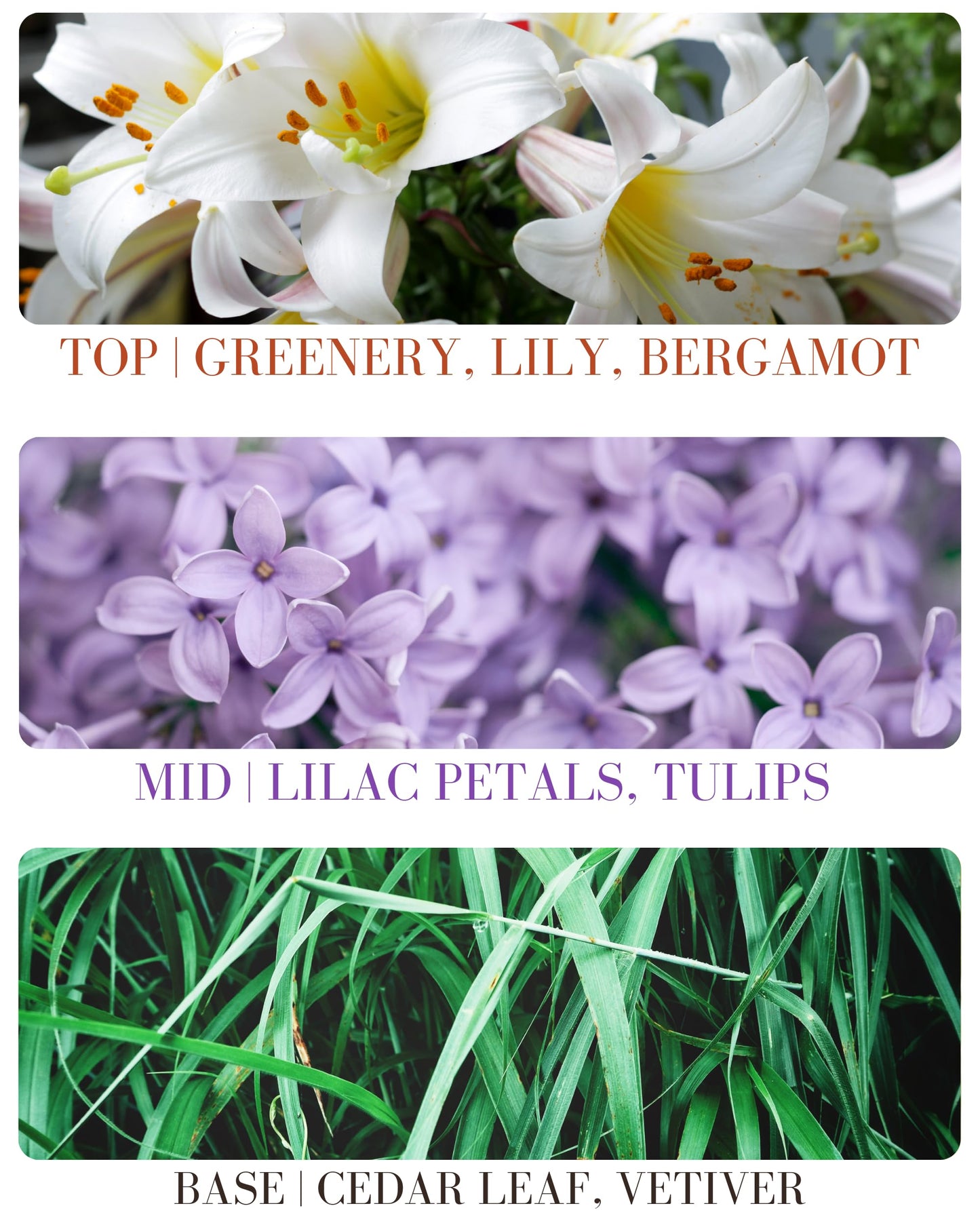 Roll-on Perfume Oils