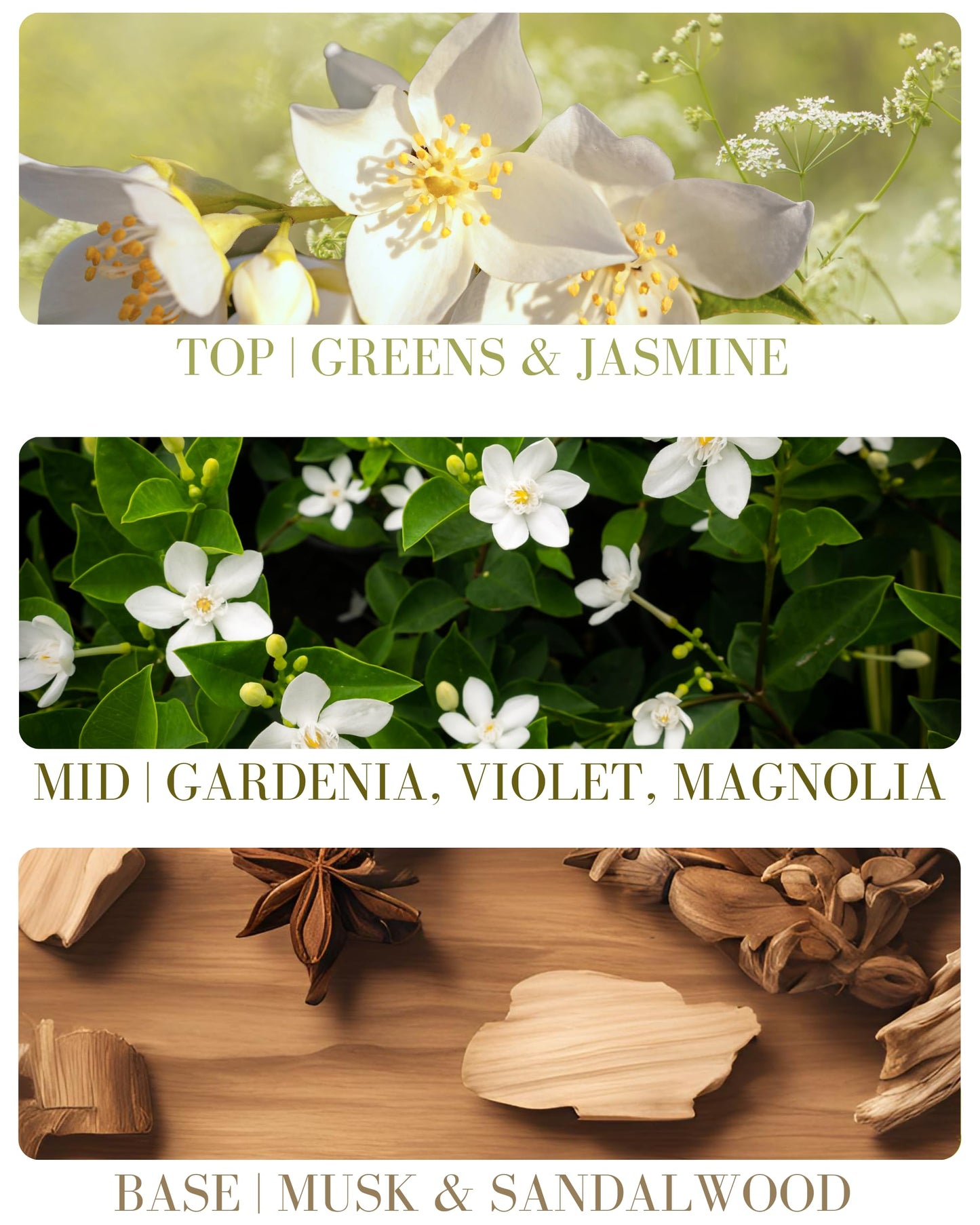 Roll-on Perfume Oils