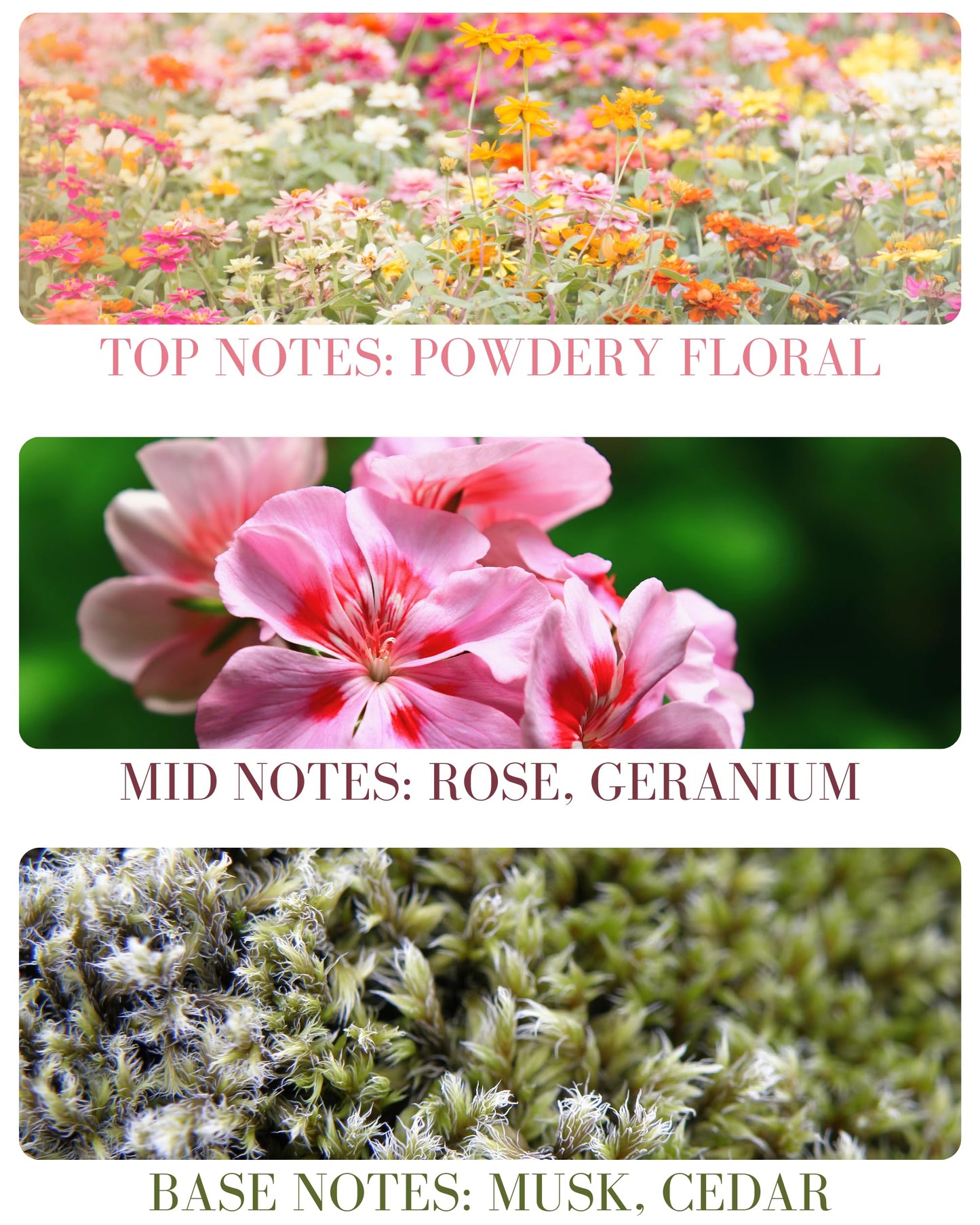 Roll-on Perfume Oils